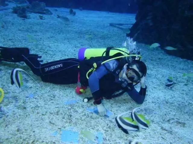 探索知识星球——怎样可以忘记一个人?平台,轻松学习与分享知识